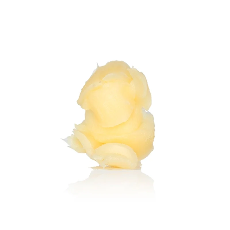 Monster Hold - Midi - Image 4